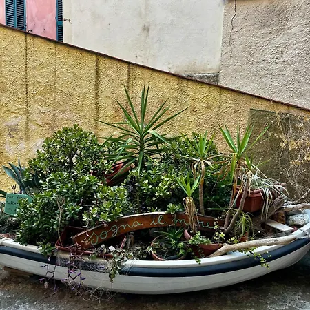 Casa vacanze Casa Di Marghy Rio Marina
